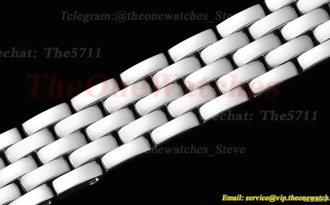 Qtz Swiss 8848F De Ladies SS 22mm Secrete SS Panthere White Dial Dia 0509
